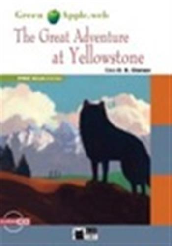 Great Adventure In Yellowstone