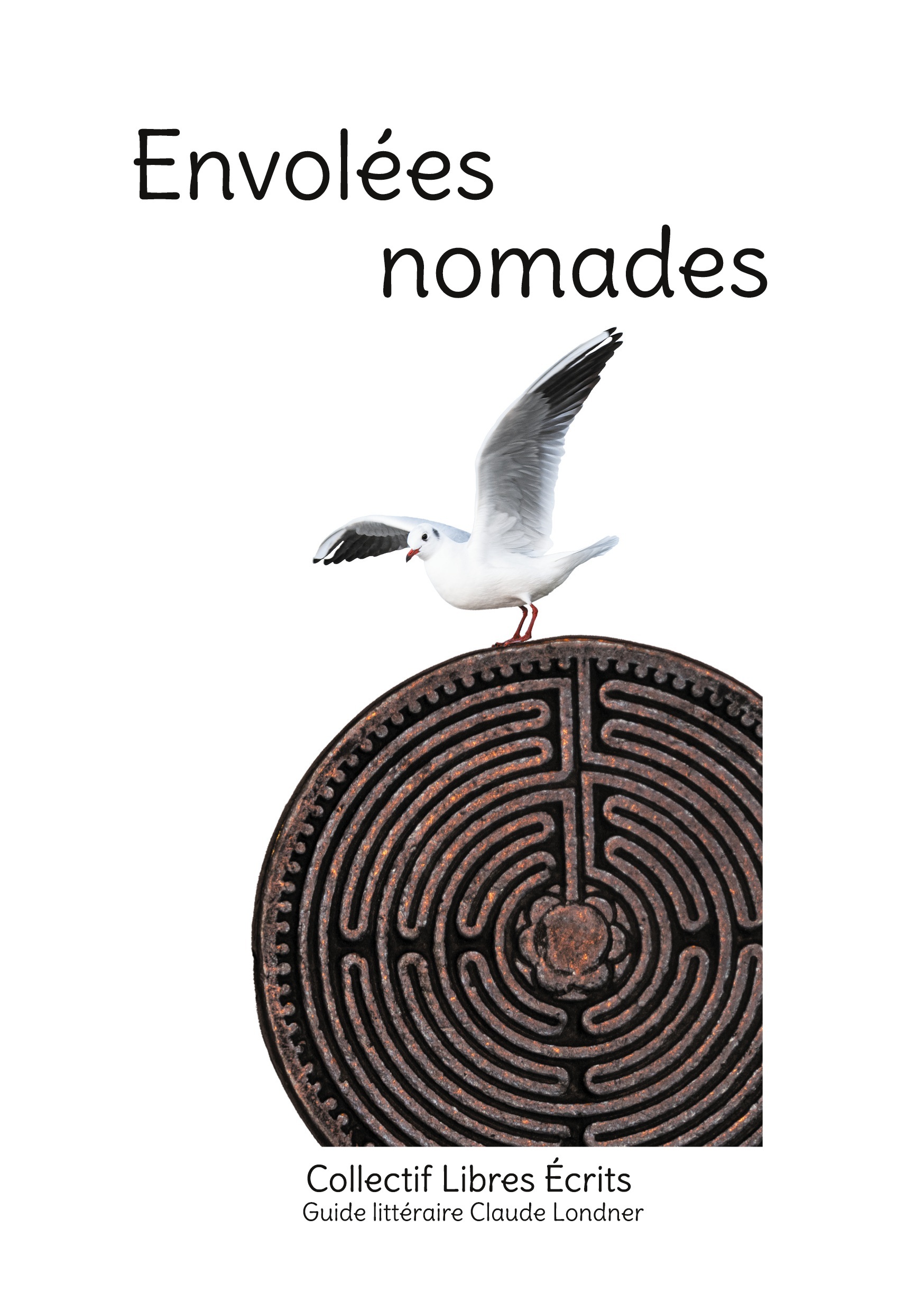 Envolées Nomades