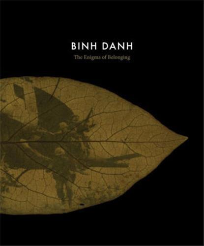 Binh Danh: The Enigma of Belonging /anglais