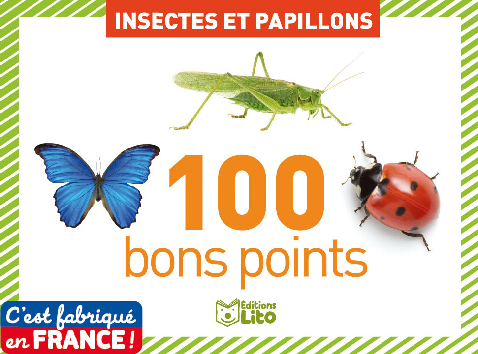 100  BONS POINTS INSECTES PAPI