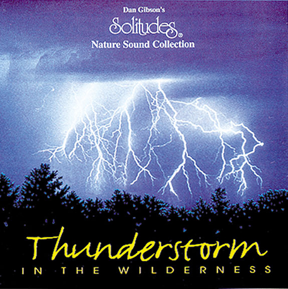 Thunderstorm in the Wilderness