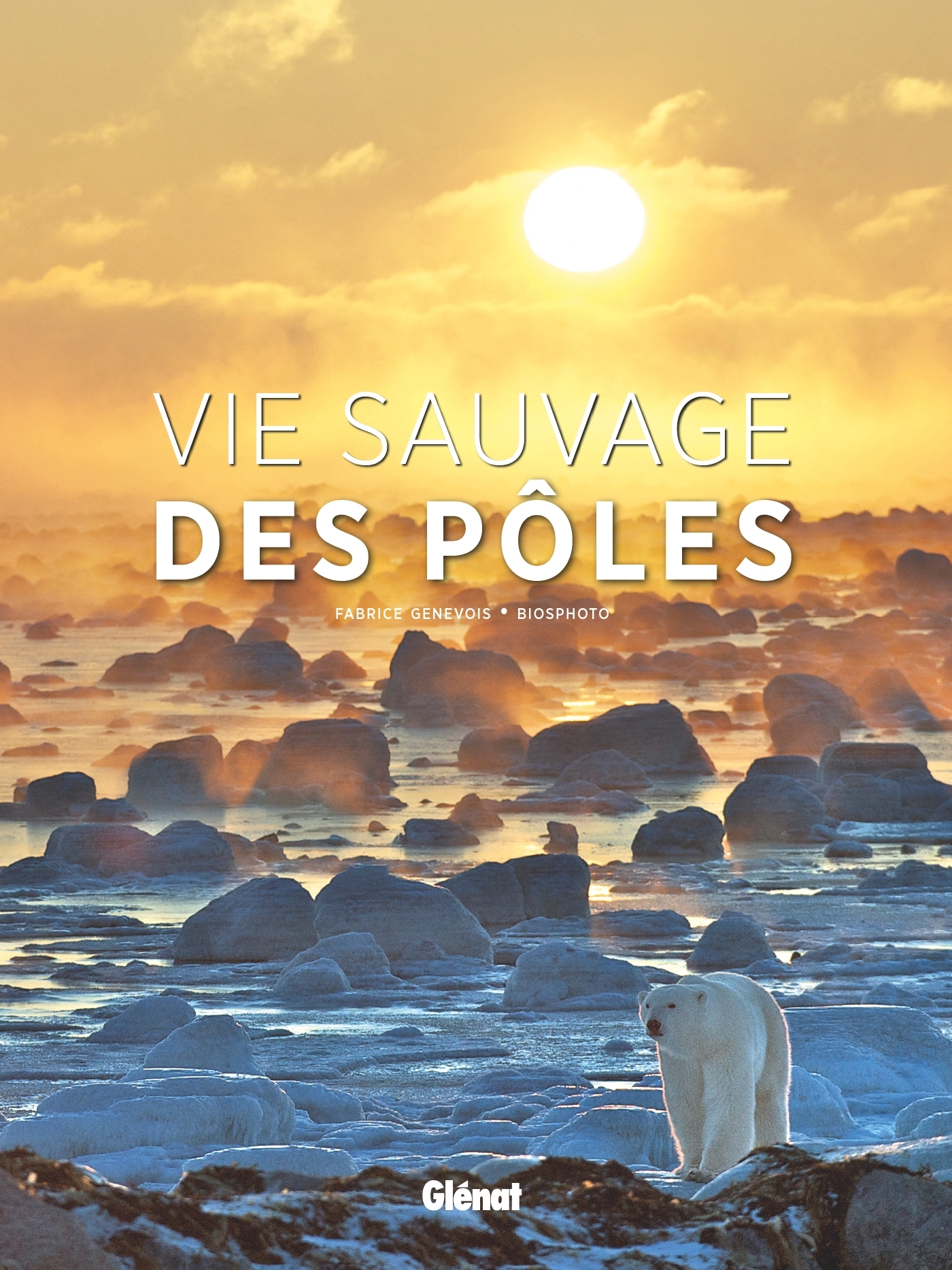 Vie sauvage des pôles