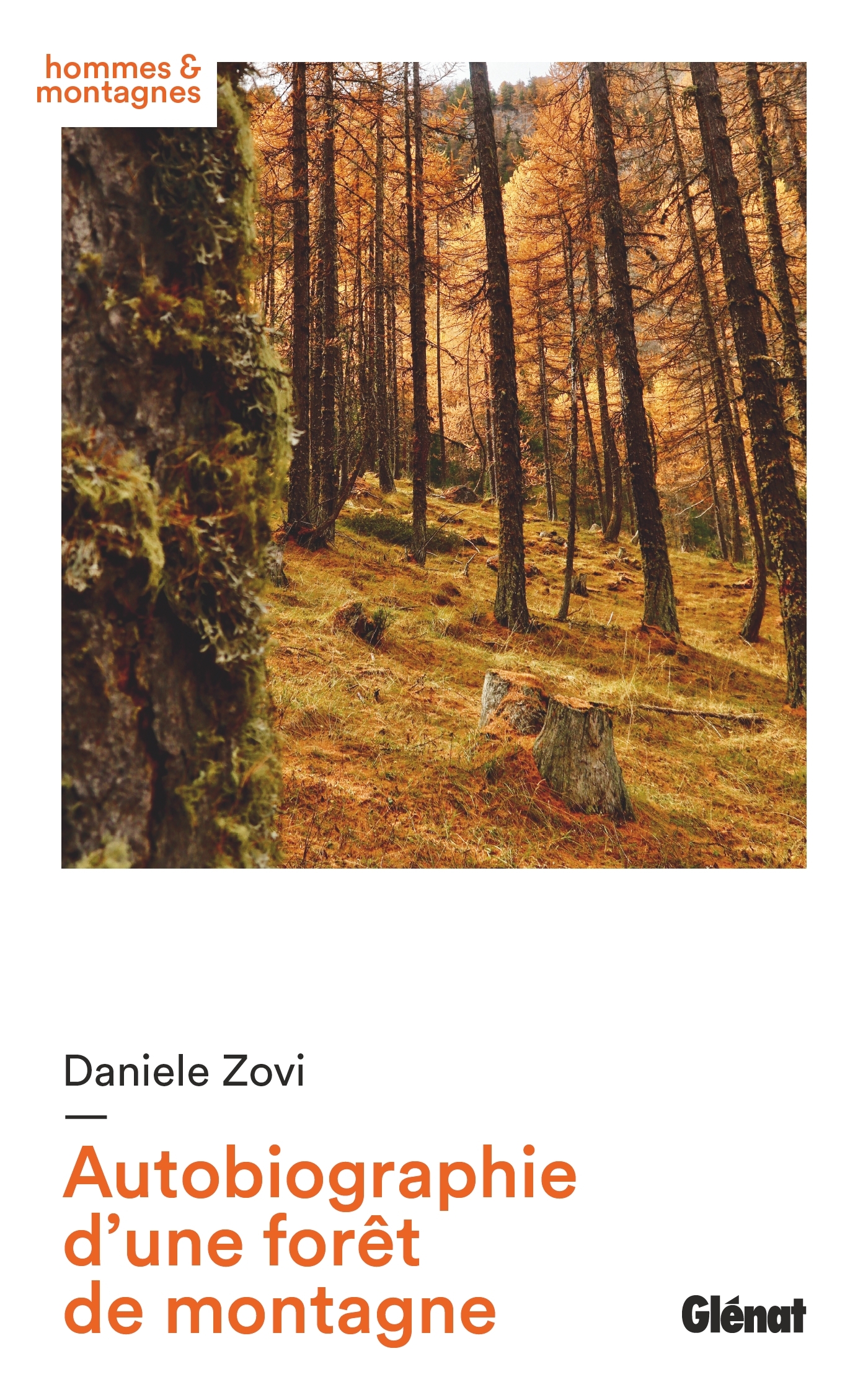 Autobiographie d'une forêt de montagne