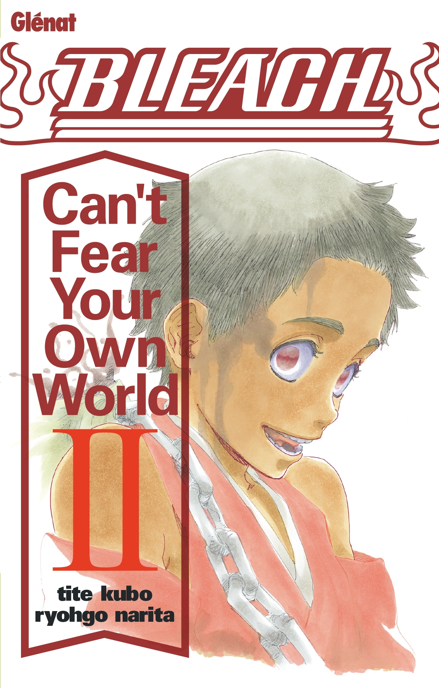 Bleach Roman - Can't Fear Your Own World - Tome 02