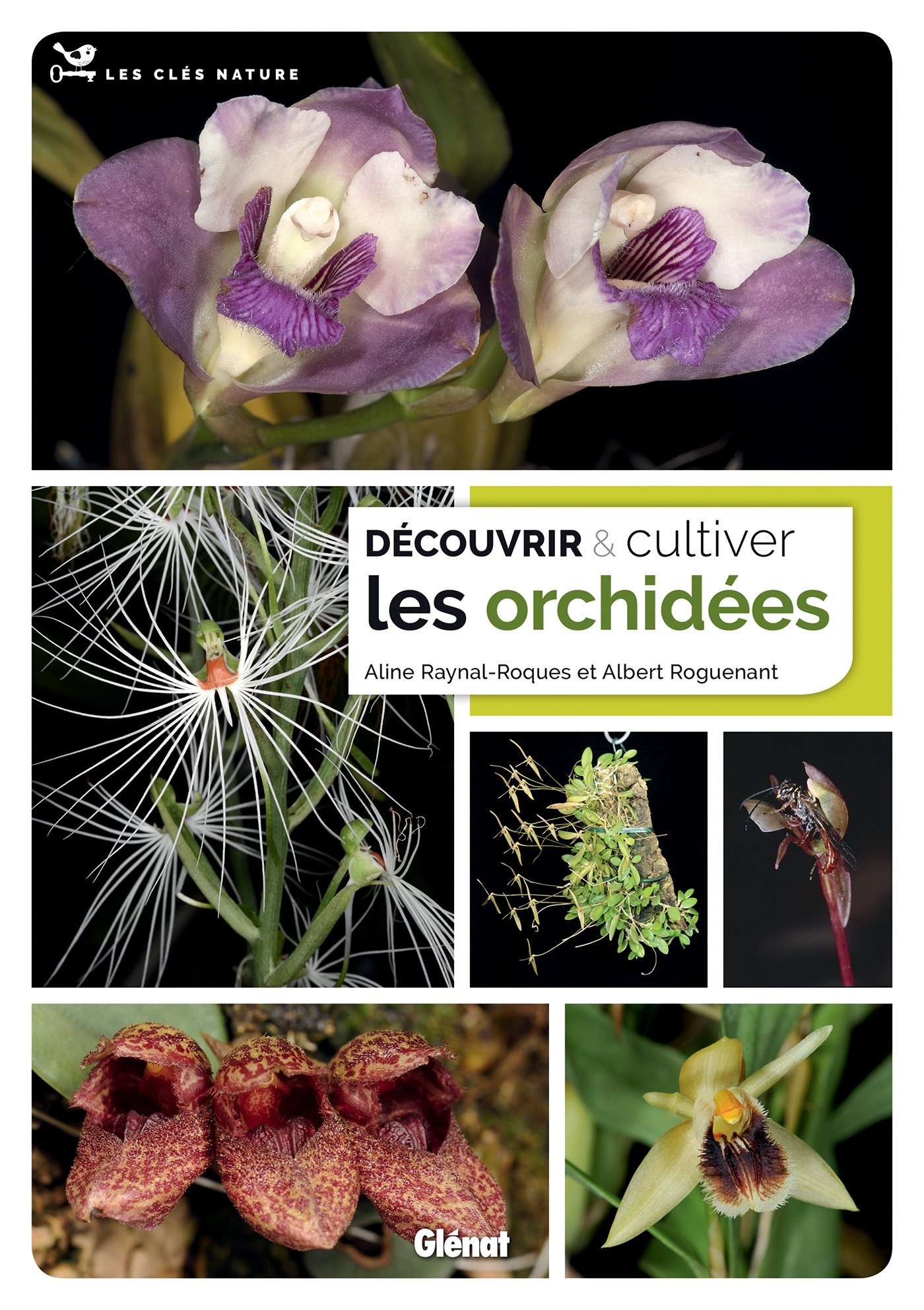 Découvrir et cultiver les orchidées