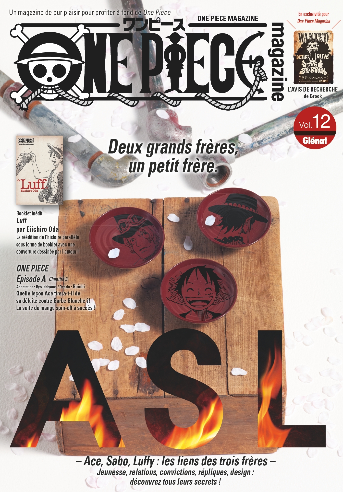 One Piece Magazine - Tome 12