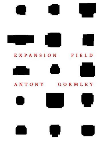 Antony Gormley Expansion Field /anglais/allemand