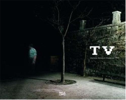 Mathieu Bernard-Reymond TV /franCais/anglais