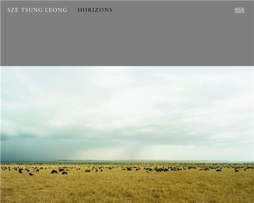 Sze Tsung Leong Horizons /anglais