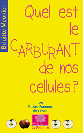 Quel est le carburant de nos cellules?