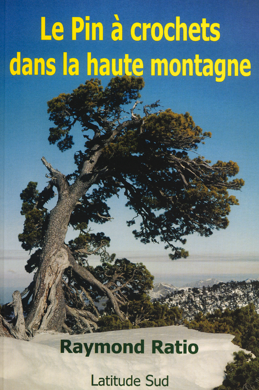 Le pin à crochets dans la haute montagne