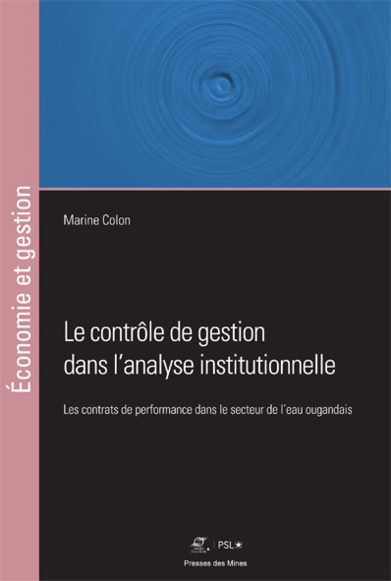 Le contrôle de gestion dans l'analyse institutionnelle