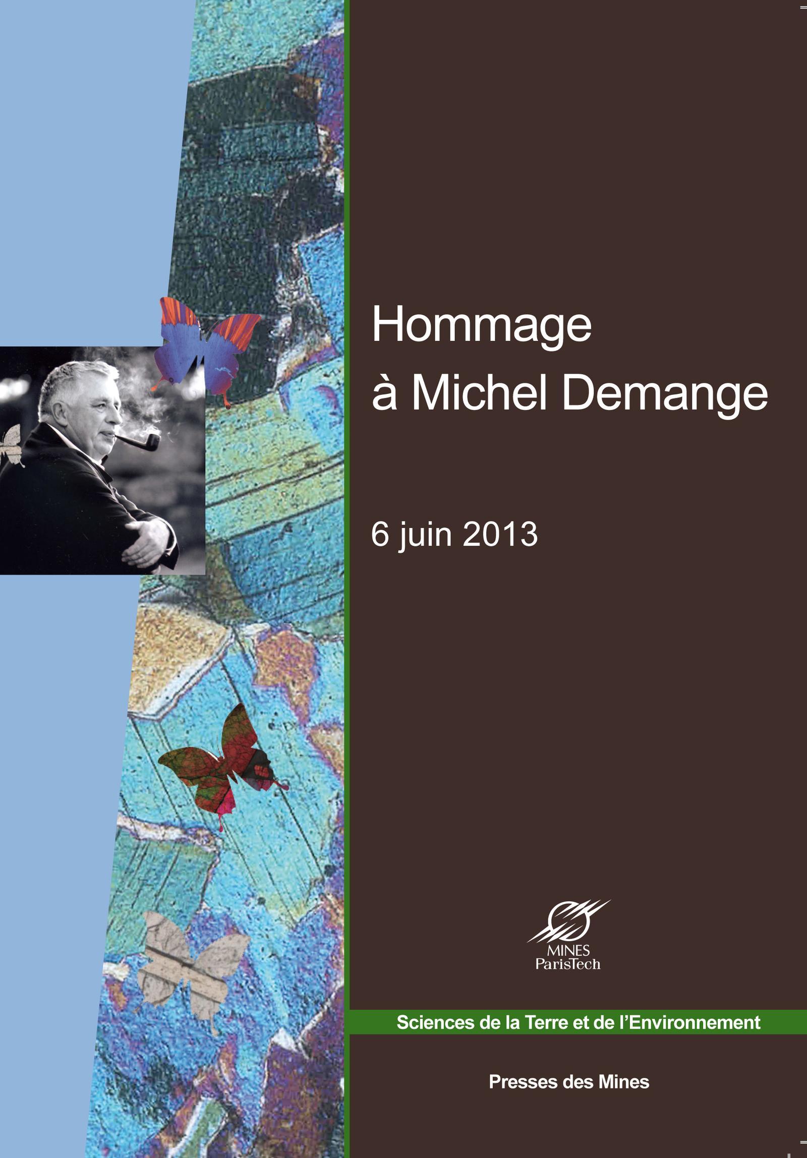 HOMMAGE A MICHEL DEMANGE. 6 JUIN 2013