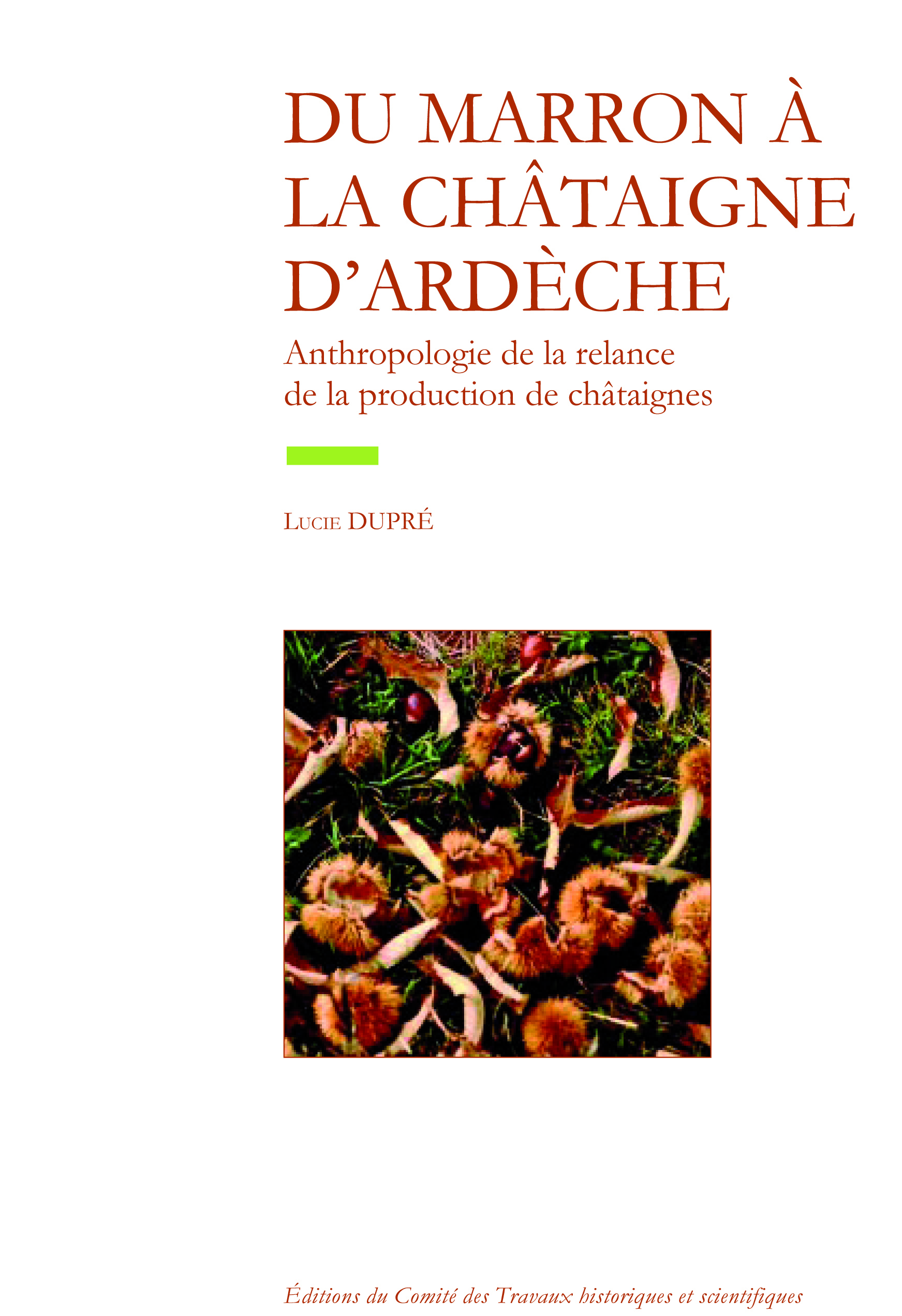 Du marron à la chataigne d' ardeche