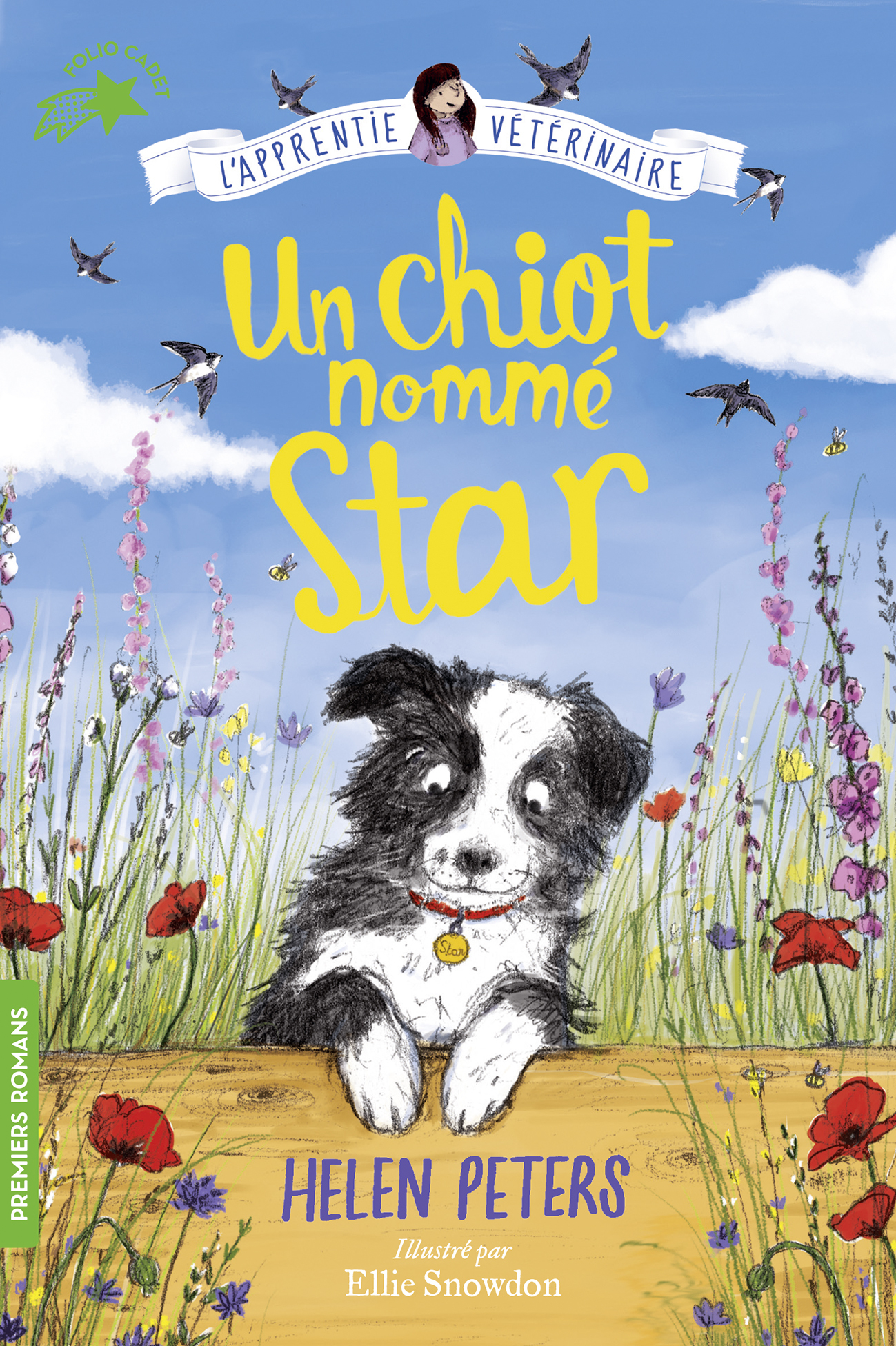 Un chiot nommé Star