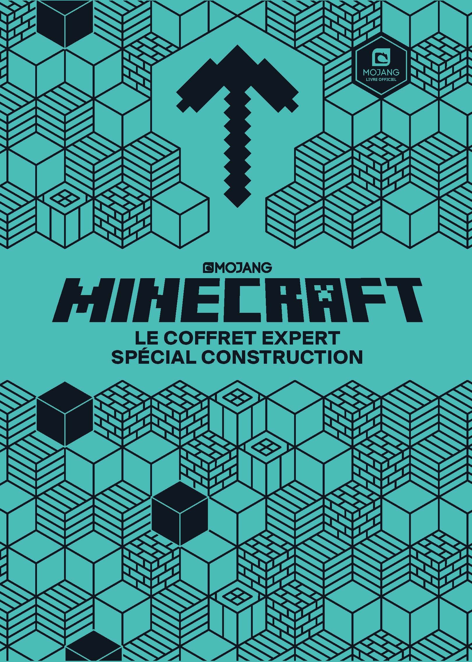 Minecraft : Le coffret expert spécial Construction