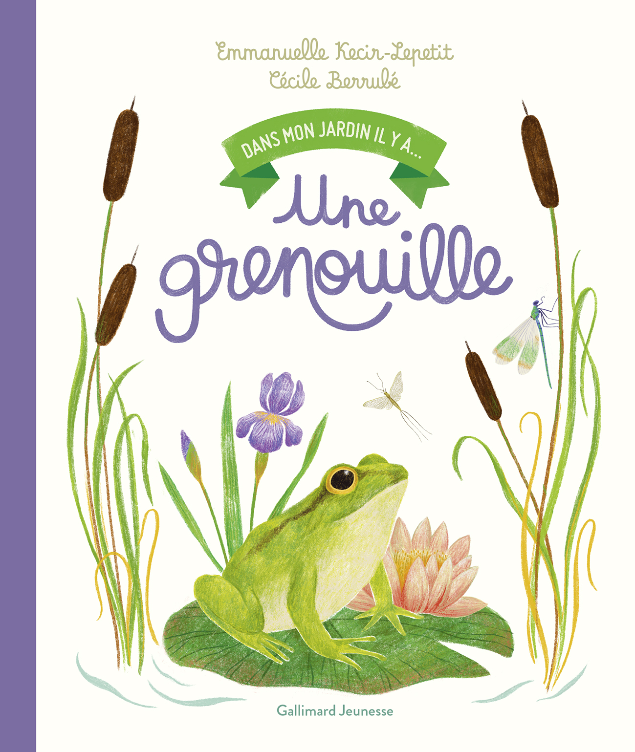 Dans mon jardin, il y a... - Une grenouille
