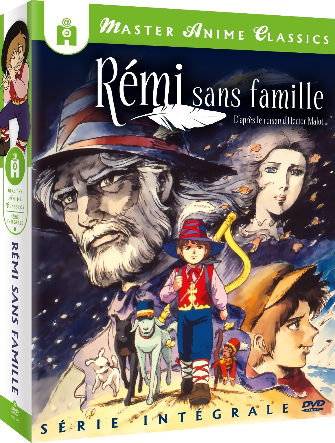 Rémi sans famille - Intégrale DVD