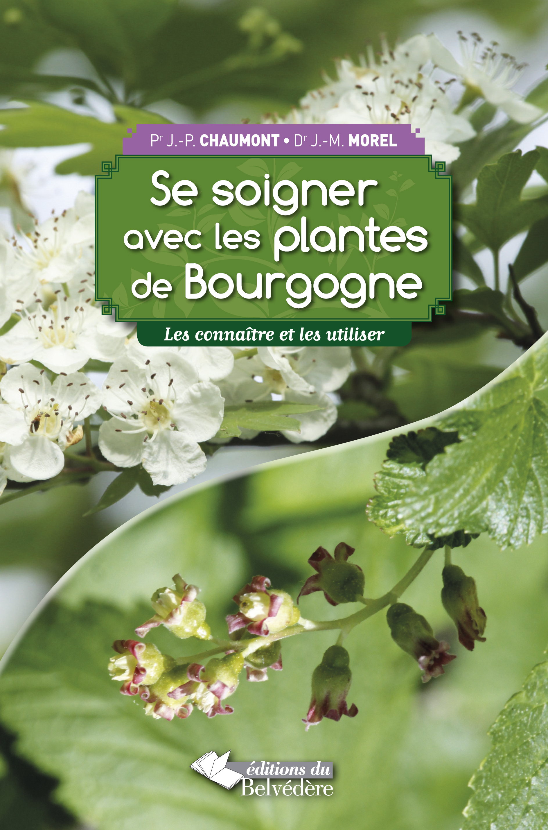 Se soigner avec les plantes de Bourgogne