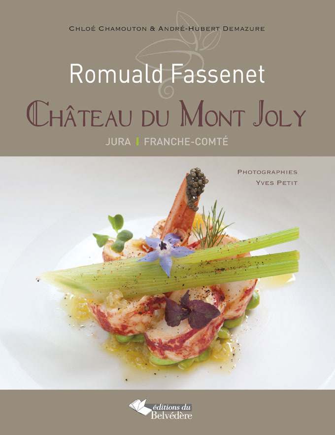 Romuald Fassenet : château du Mont Joly