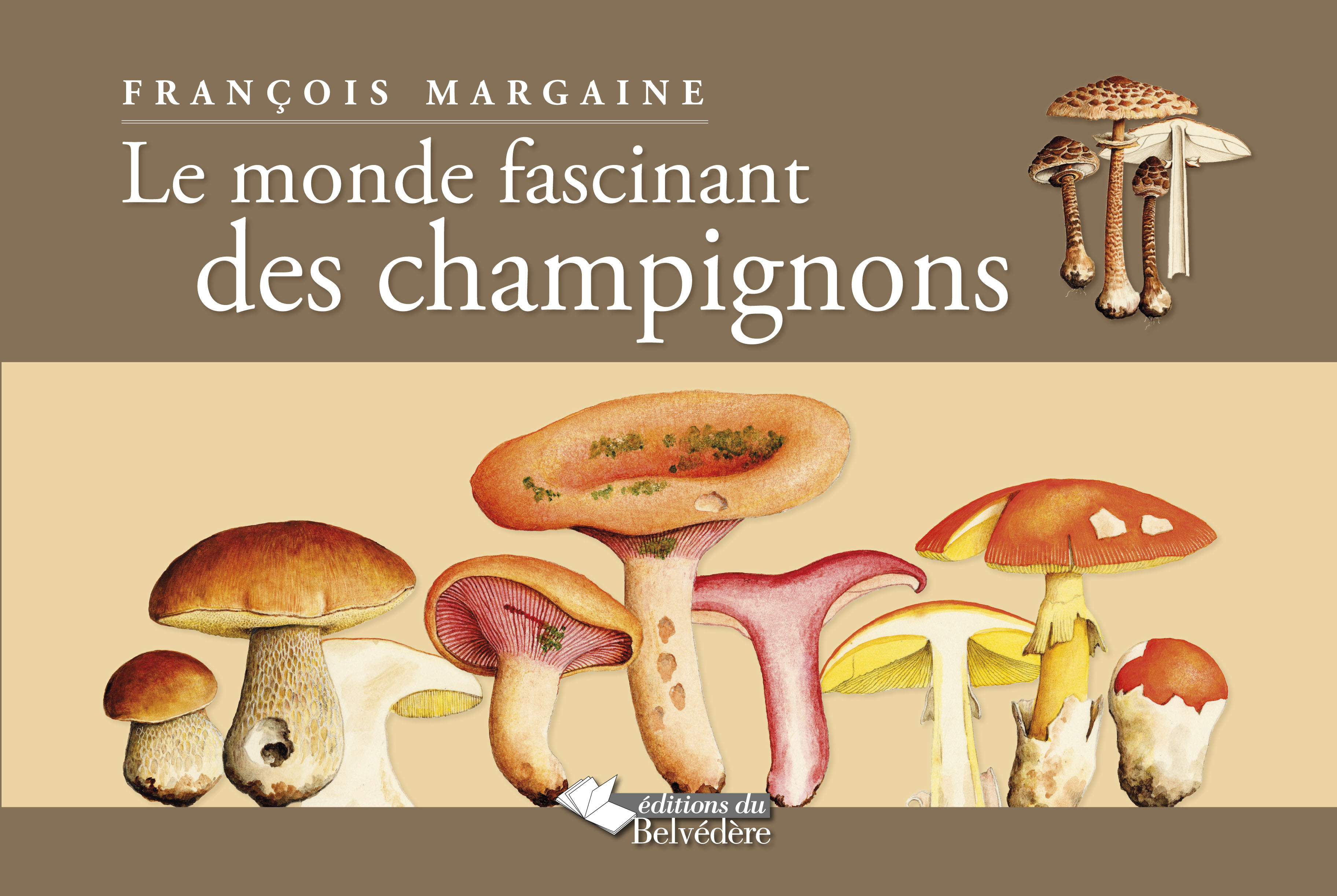 Le monde fascinant des champignons