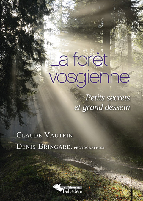 La forêt vosgienne