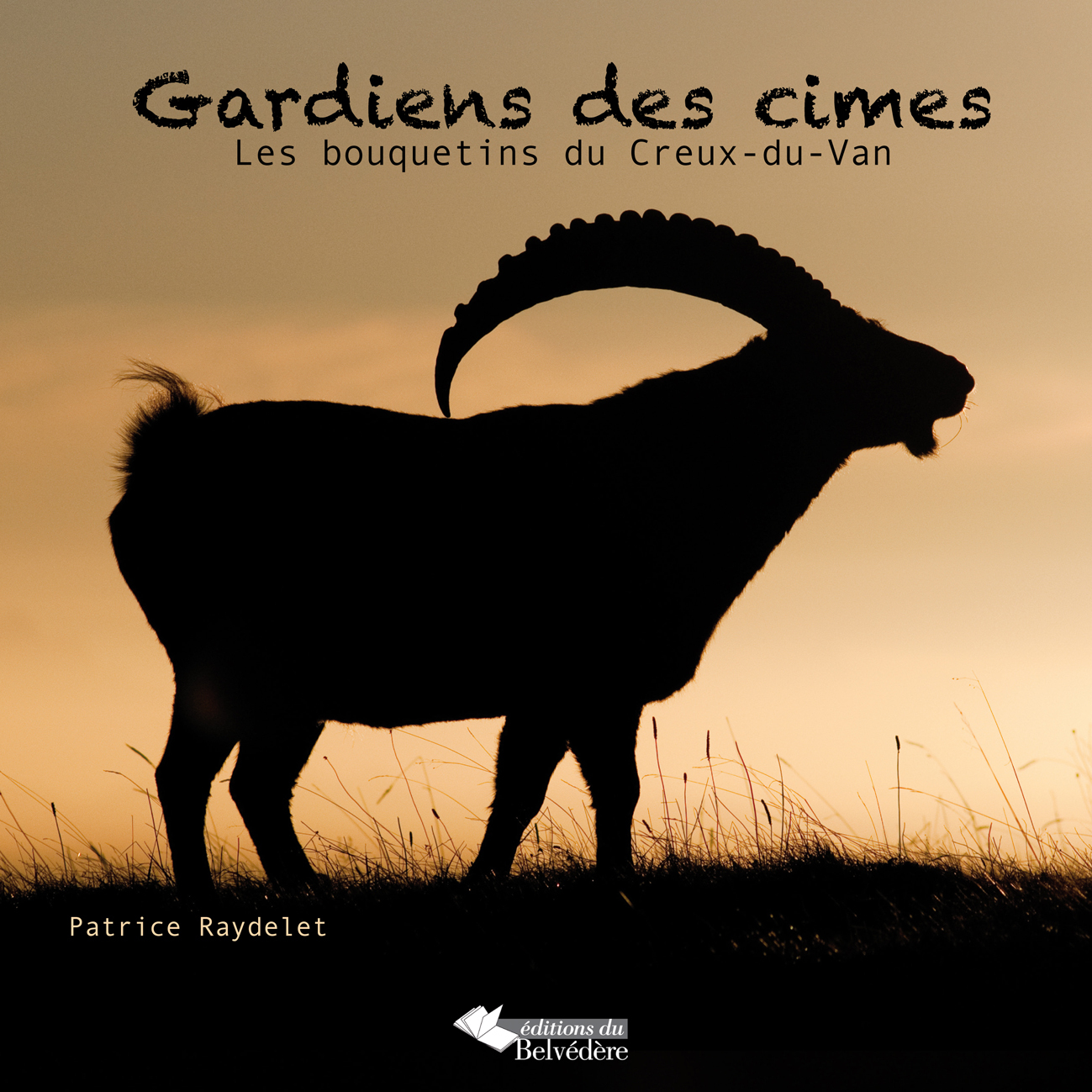 Gardiens des cimes
