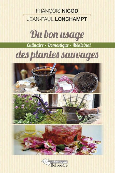 Du bon usage des plantes sauvages