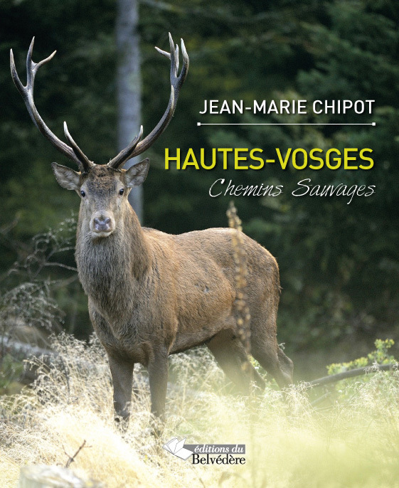 Hautes-Vosges, chemins sauvages