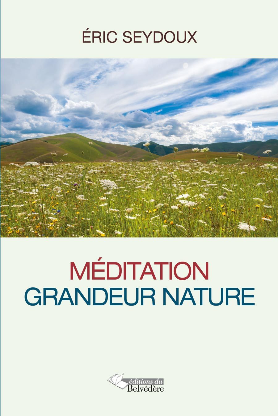 Méditation grandeur nature