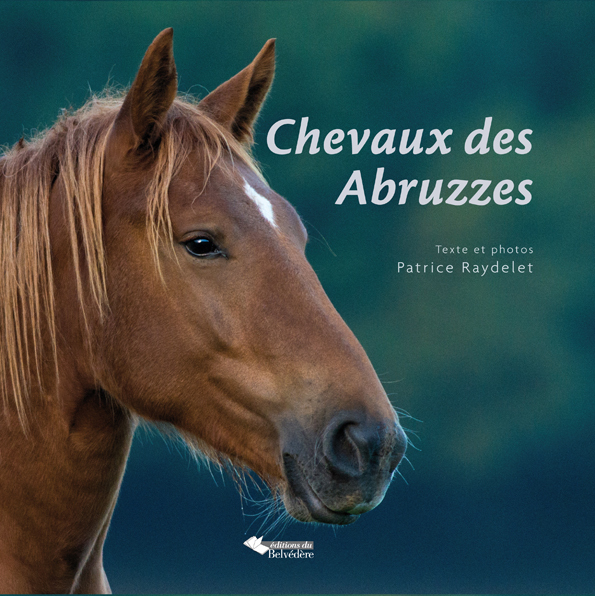 Chevaux des Abruzzes
