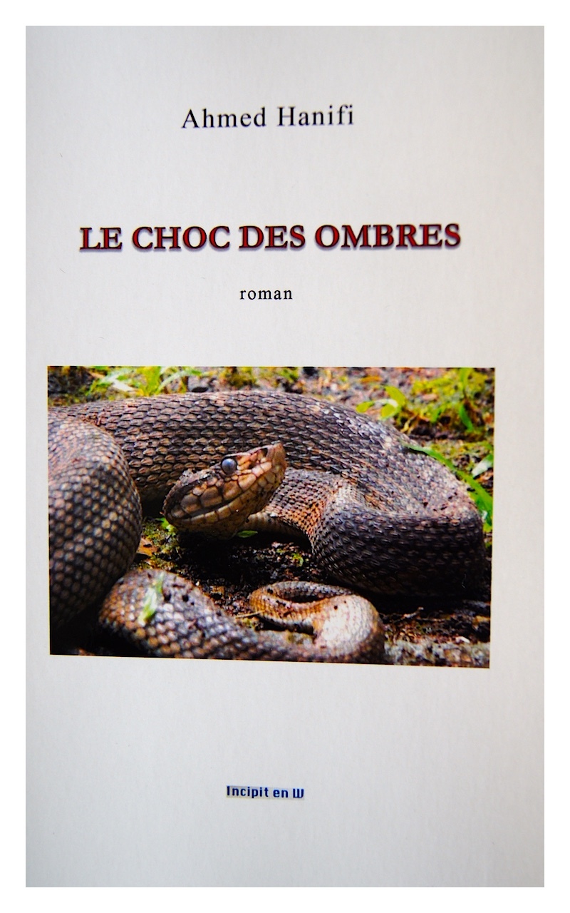 LE CHOC DES OMBRES