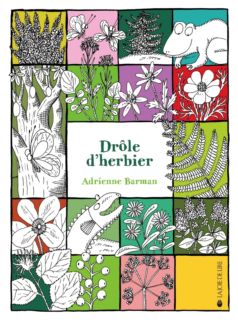 DROLE D'HERBIER