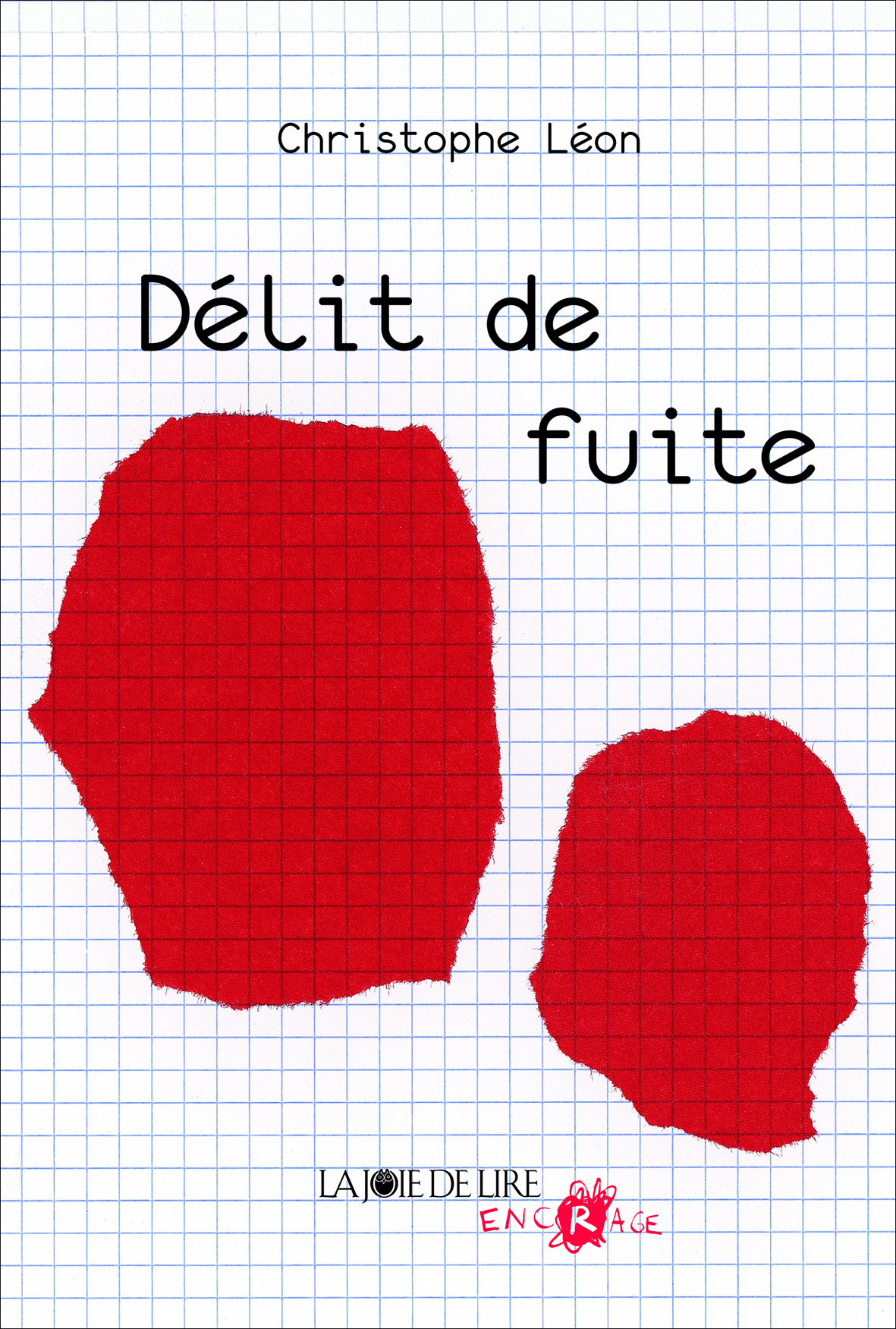 DELIT DE FUITE
