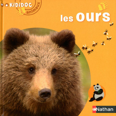 Numéro 2 Les Ours - Kididoc animaux