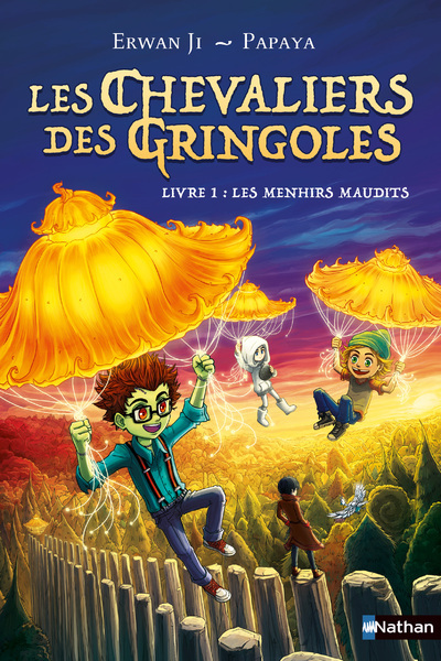 Les Chevaliers des Gringoles - tome 01 : Les menhirs maudits