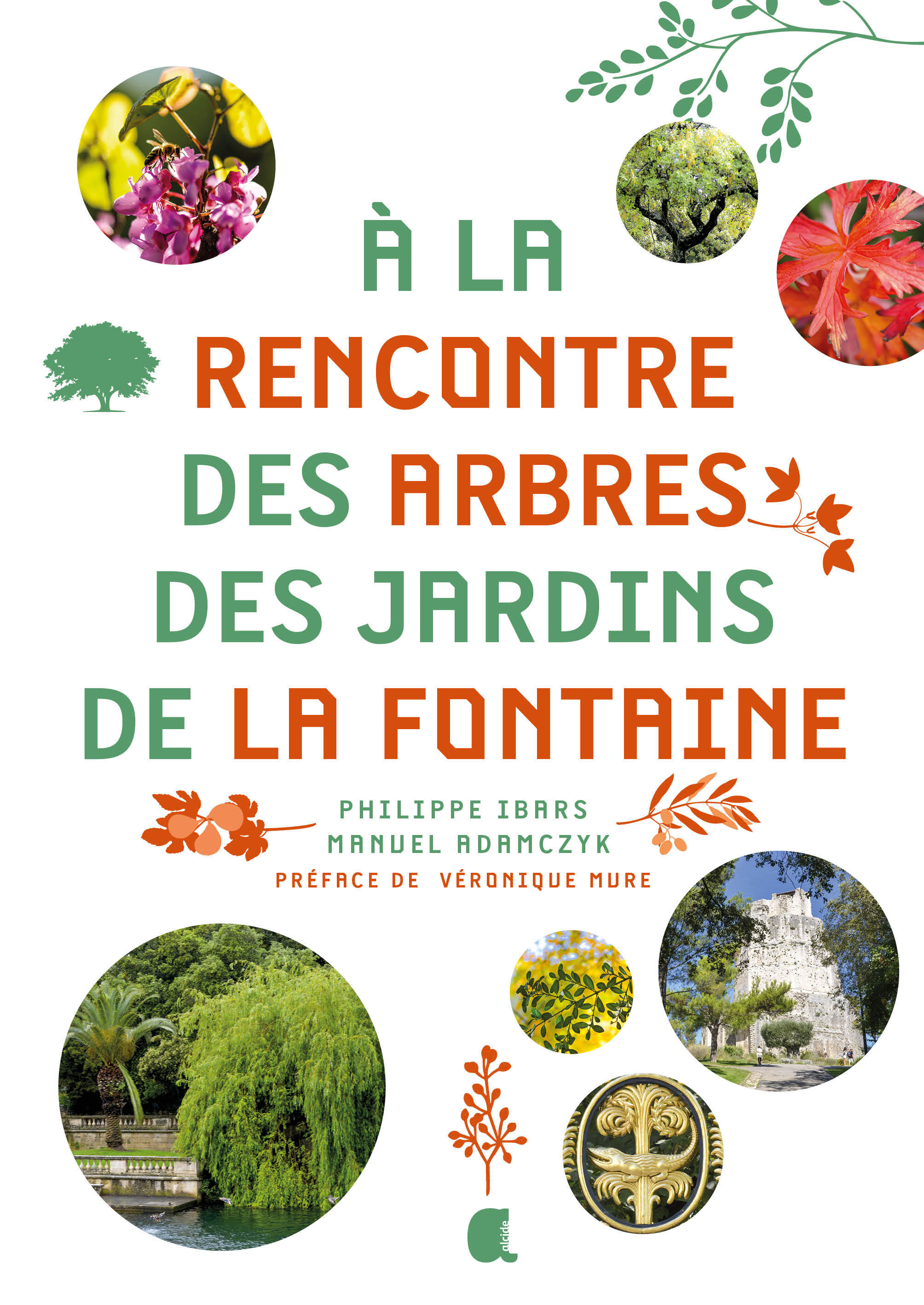 A la rencontre des arbres des jardins de la fontaine