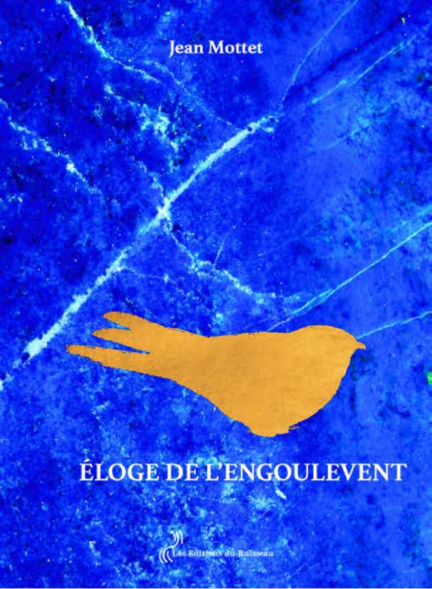 ELOGE DE L'ENGOULEVENT