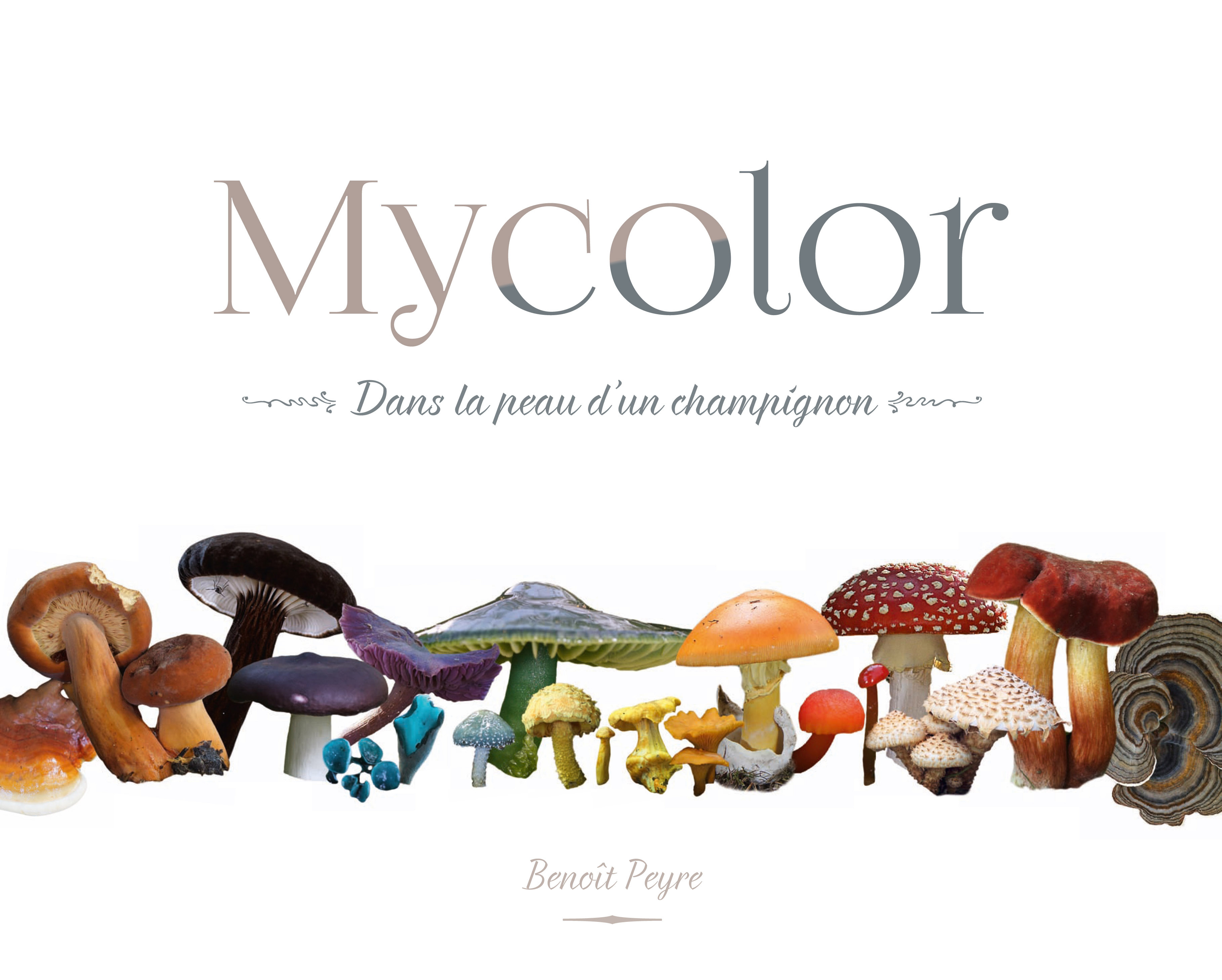 MYCOLOR, dans la peau d'un champignon