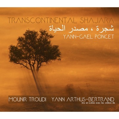 TRANSCONTINENTAL SHAJARA / YANN GAEL PONCET
