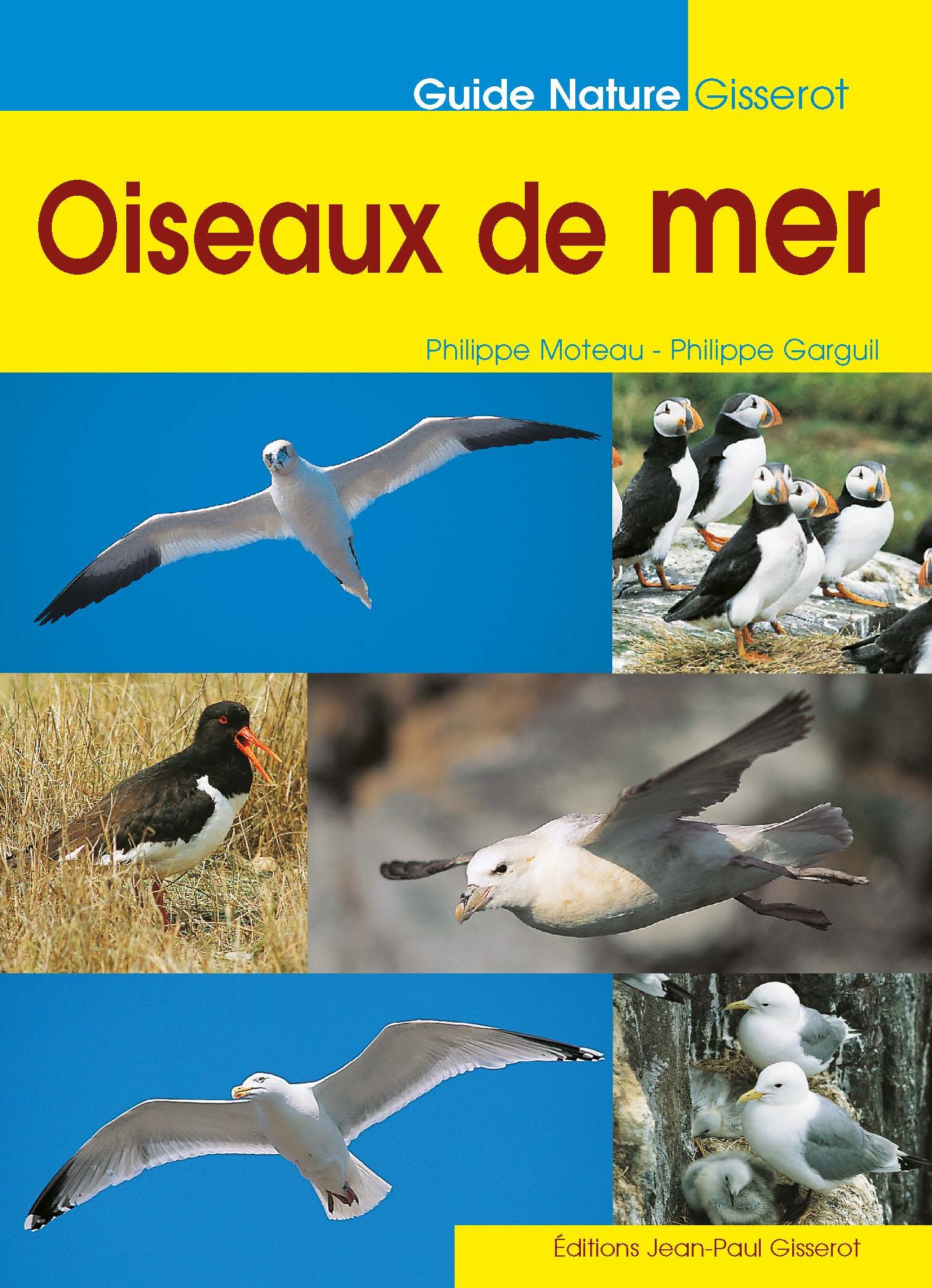 LES OISEAUX DE MER