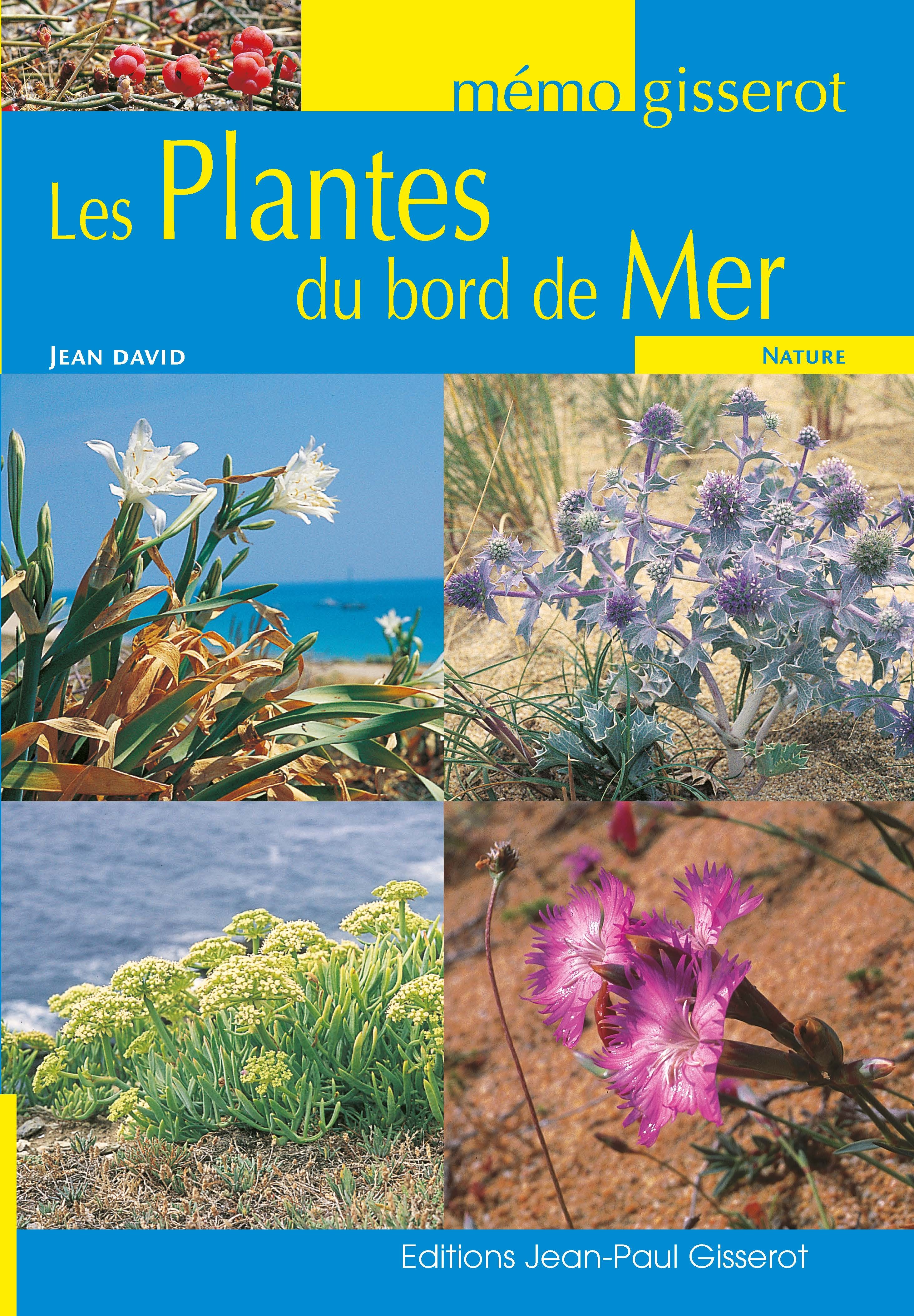 MEMO - LES PLANTES DU BORD DE MER