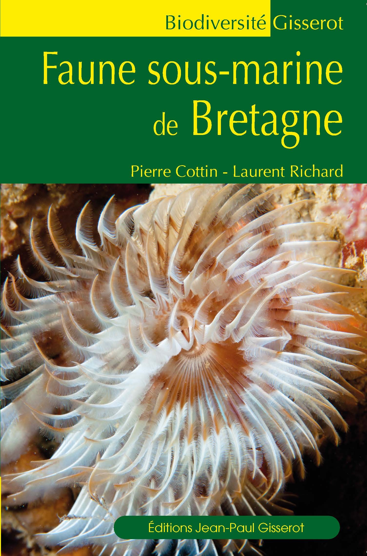 Faune sous-marine de la Bretagne