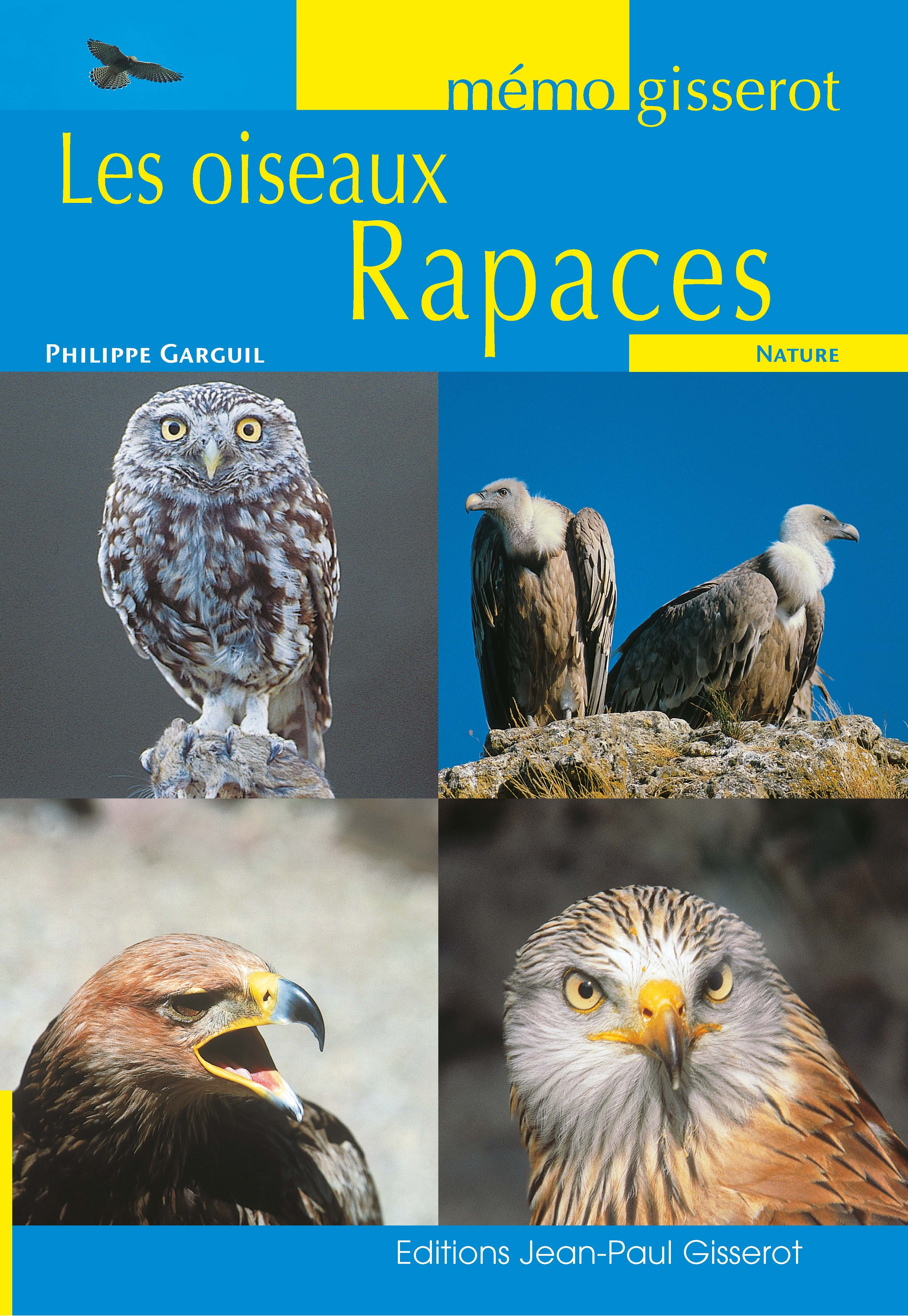 MEMO : LES OISEAUX RAPACES