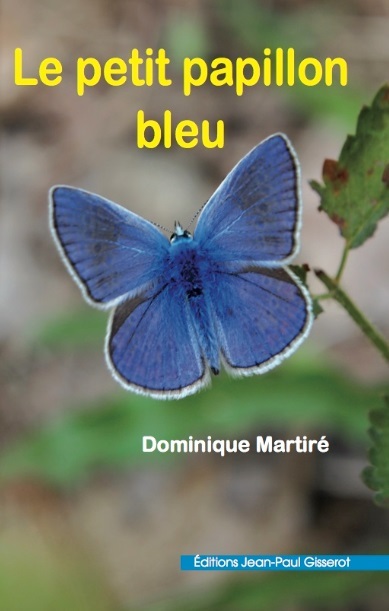 Le petit papillon bleu