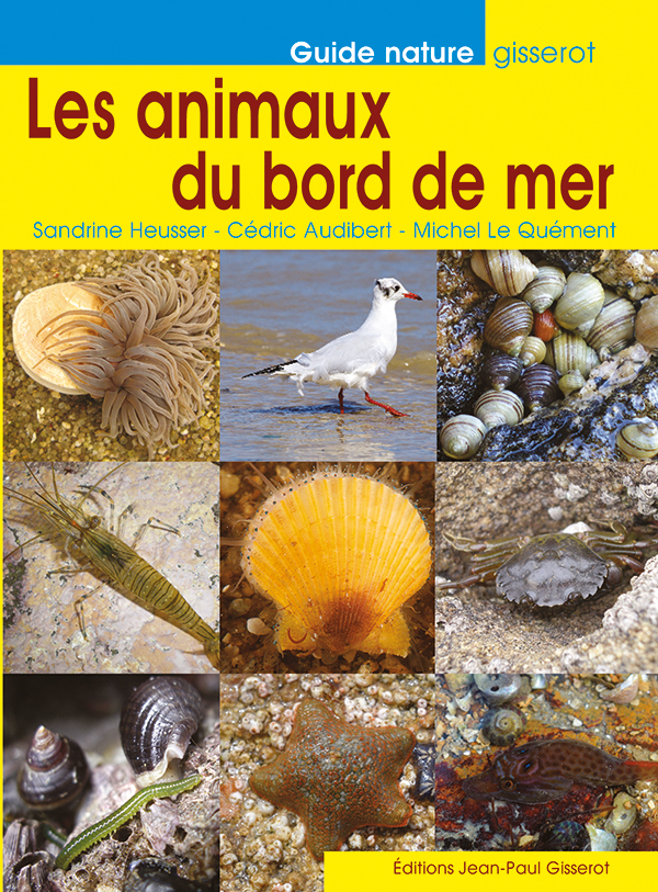 LES ANIMAUX DU BORD DE MER