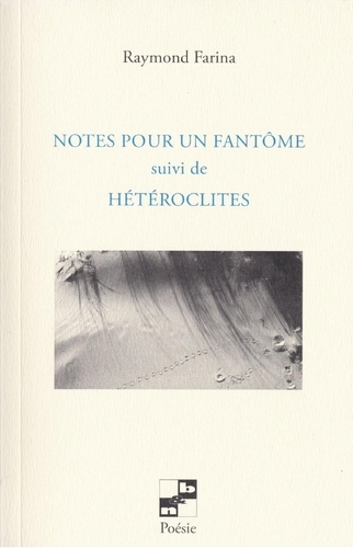 Notes pour un fantôme