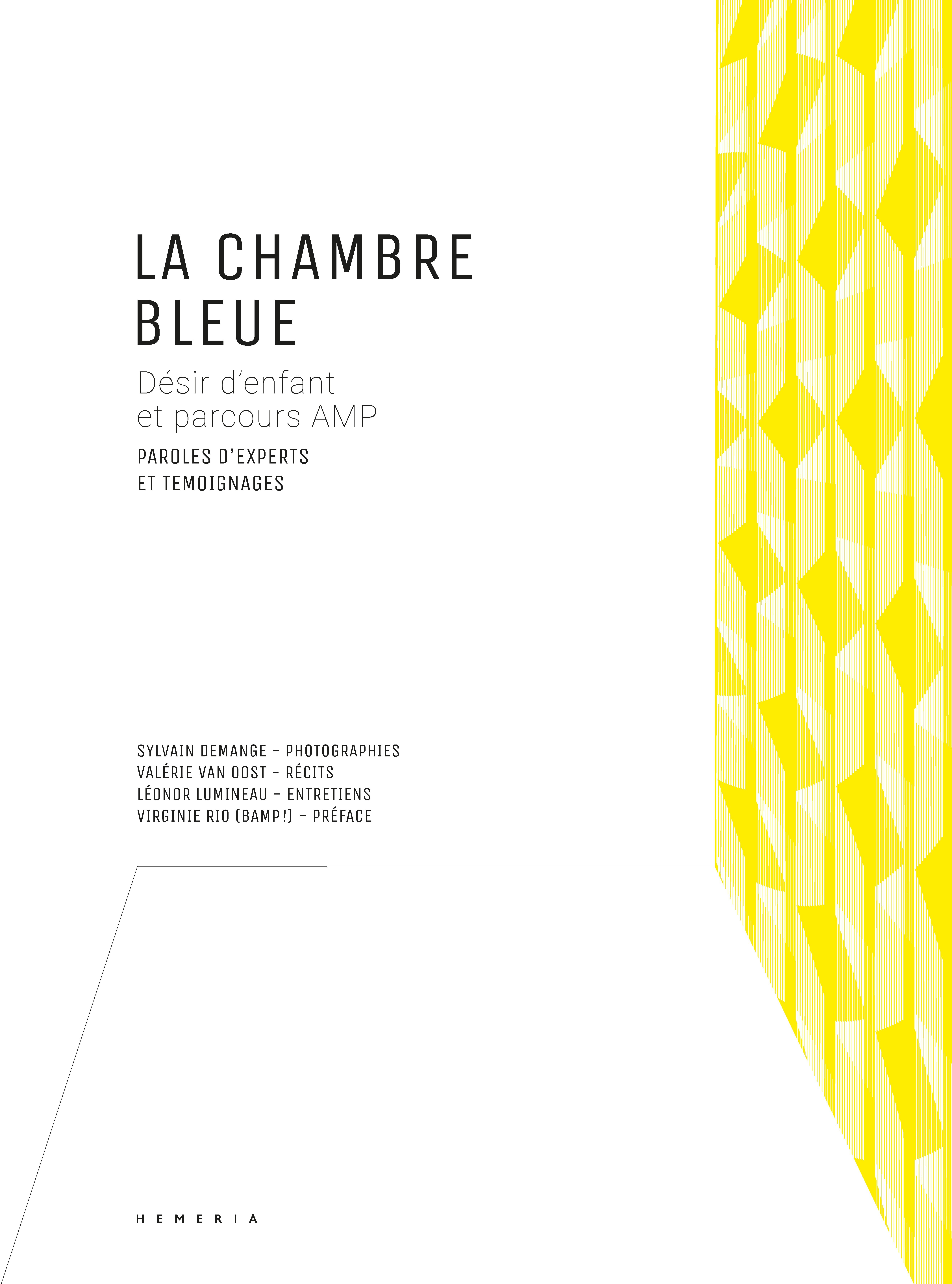 La Chambre bleue