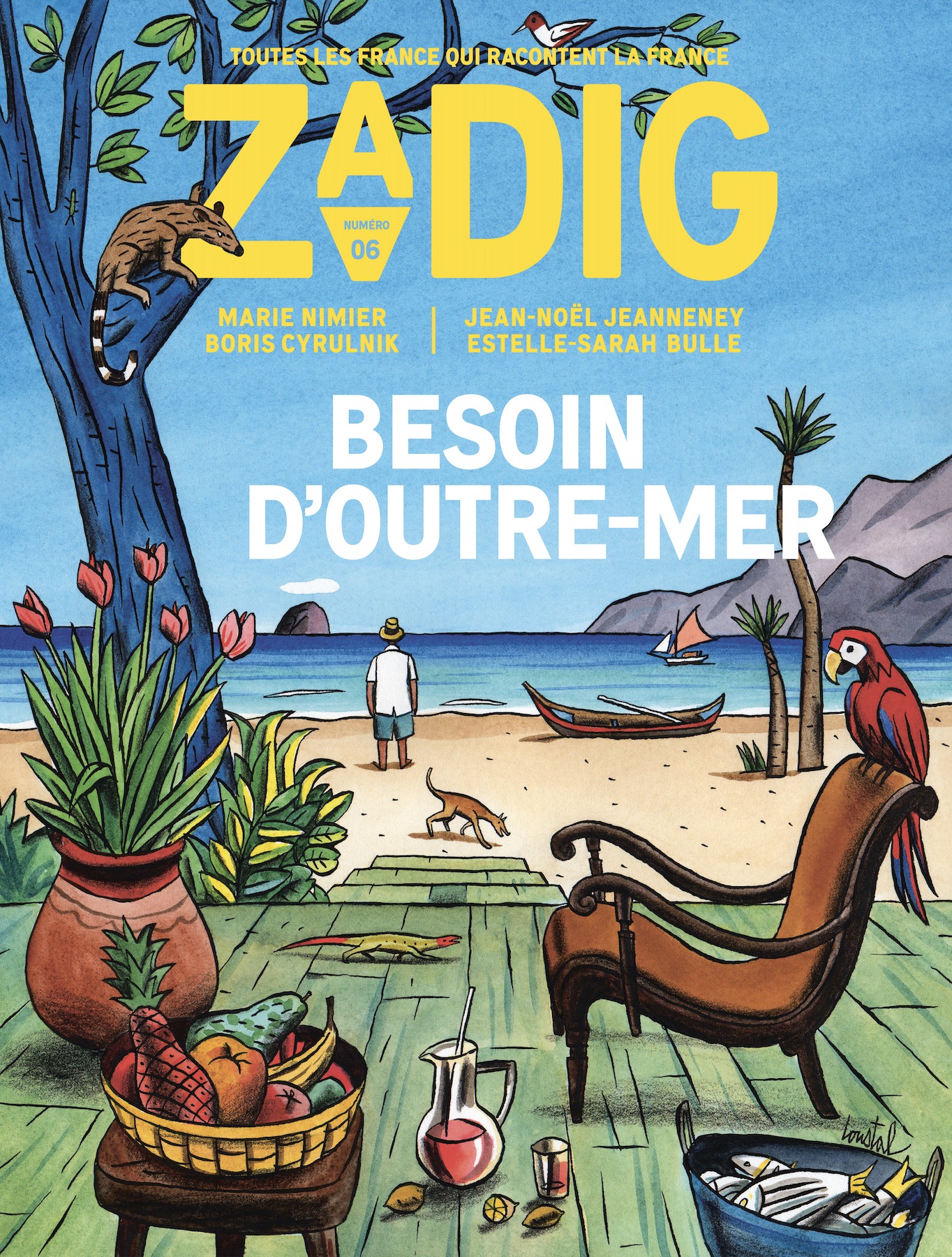 Zadig n°6 - Besoin d'Outre-Mer