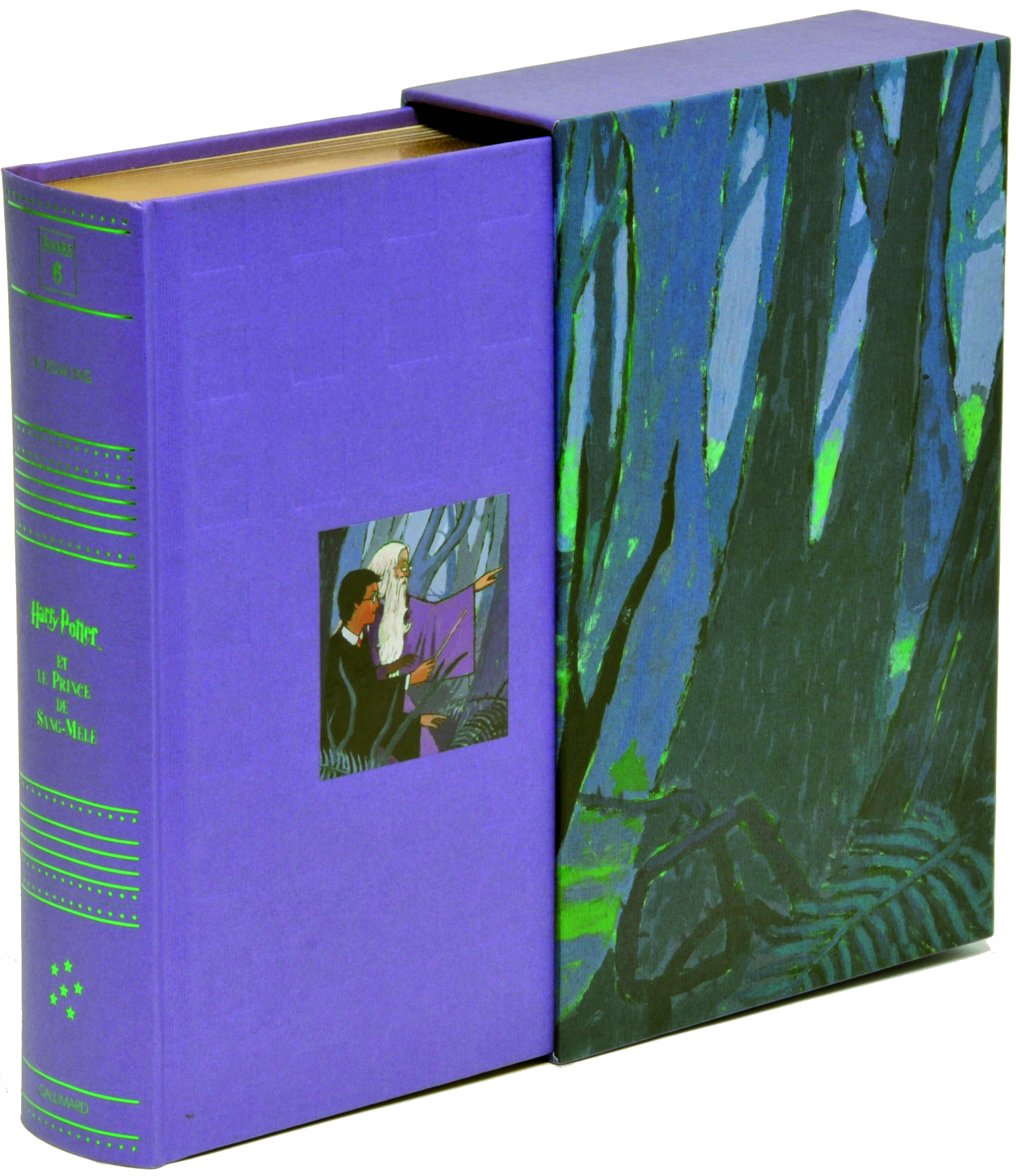 Harry Potter, VI : Harry Potter et le Prince de Sang-Mêlé